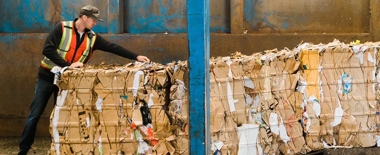 cardboard recycling